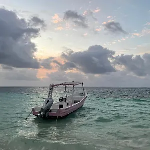 Home's Jungle Puerto Morelos 20 Minutes From The Airport Gasthof Cancún