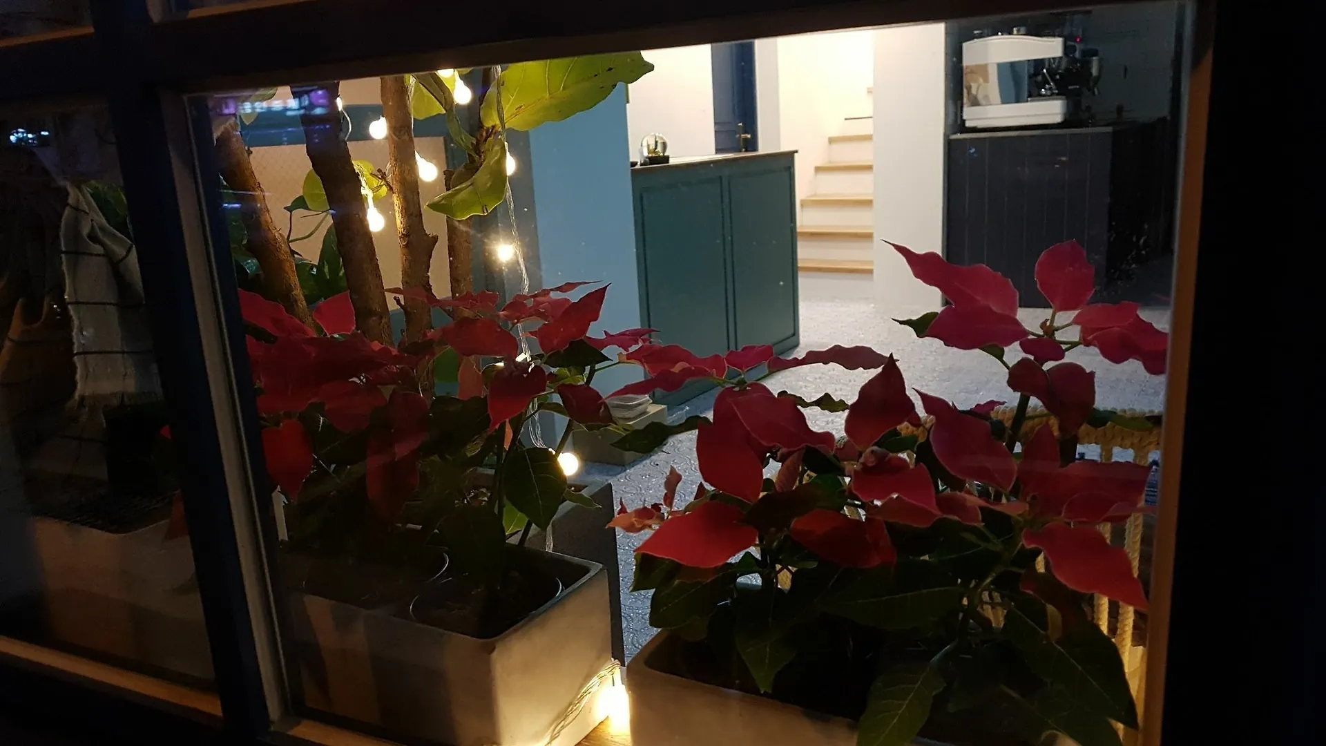 Hostel Single Single Busan